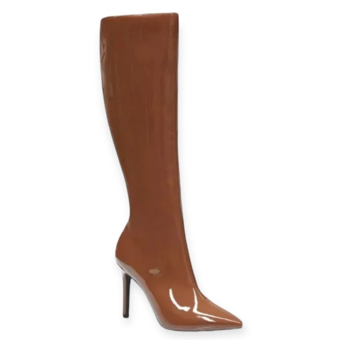 RAJELP Dress Boots Stiletto Heels Women's Shoes