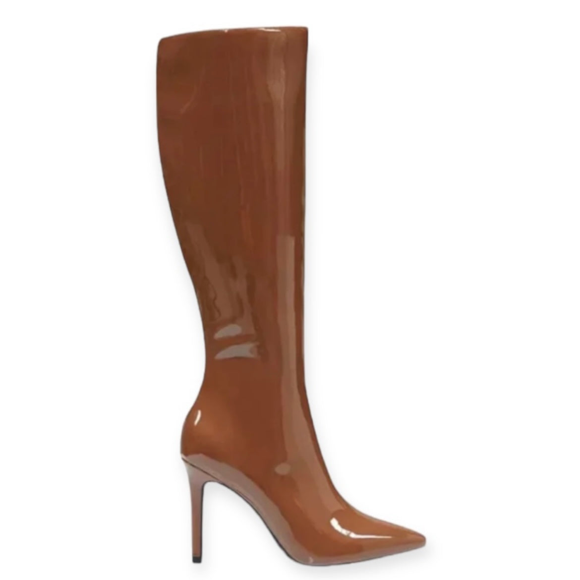 RAJELP Dress Boots Stiletto Heels Women's Shoes