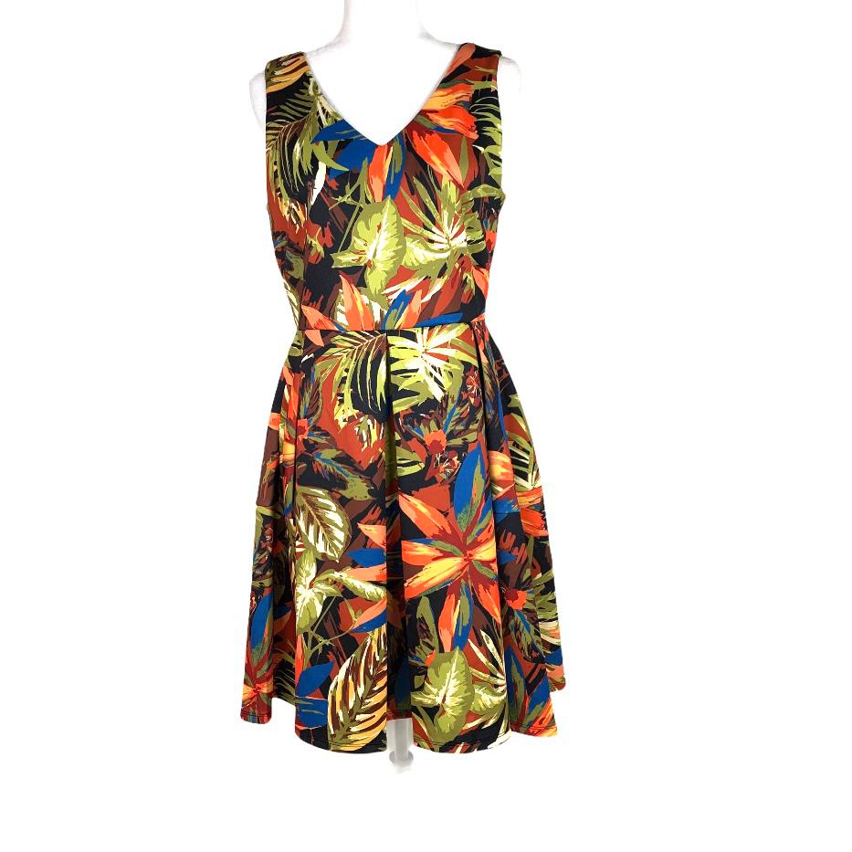 Floral Print Multicolor Sleeveless V-Neck Size 8 A-Line Women's Dress